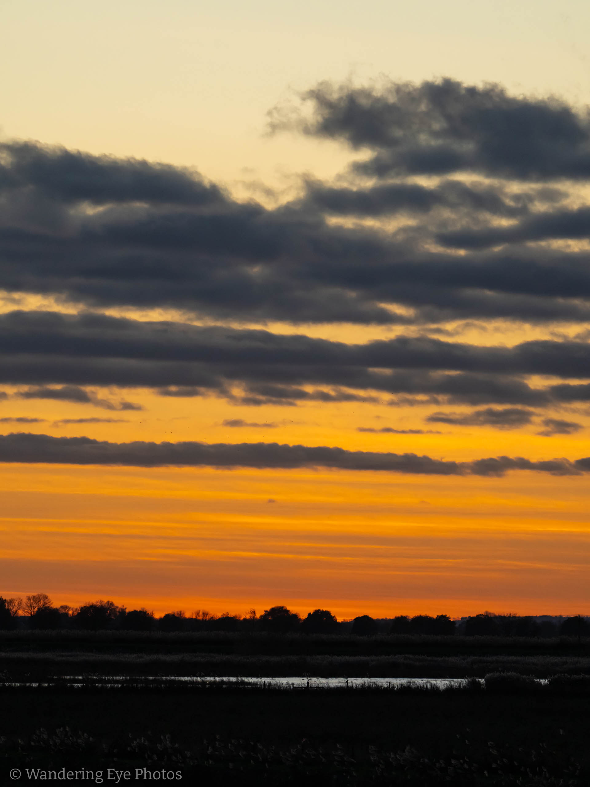 11.24 16.11.31   DSC02736